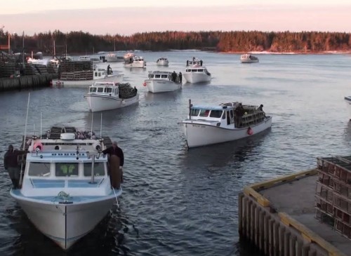 Fresh Lobster – Off the Boat!